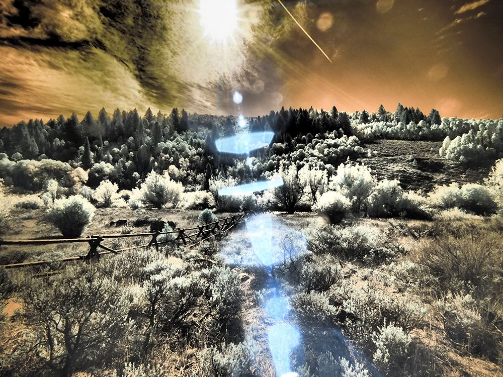 USA-Utah Infrared of the Logan Pass area with sunrays art print by Terry Eggers for $57.95 CAD