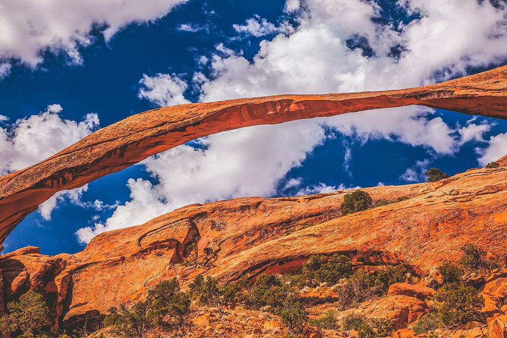 Devils Garden-Arches National Park-Moab-Utah-USA. art print by William Perry for $57.95 CAD