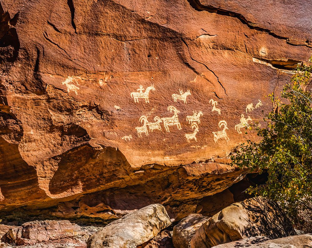 Ute Indian petroglyphs-Arches National Park-Moab-Utah-USA.Glyphs are of sheep-horses and dogs art print by William Perry for $57.95 CAD