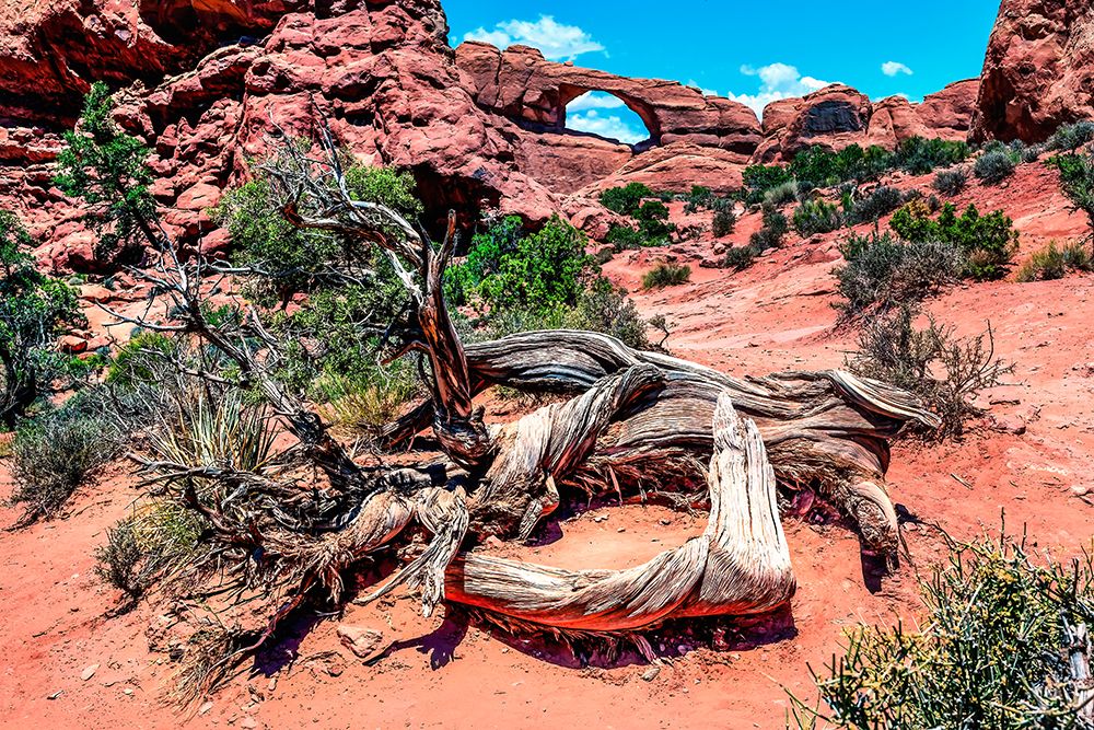 Skyline Arch-Arches National Park-Moab-Utah-USA. art print by William Perry for $57.95 CAD