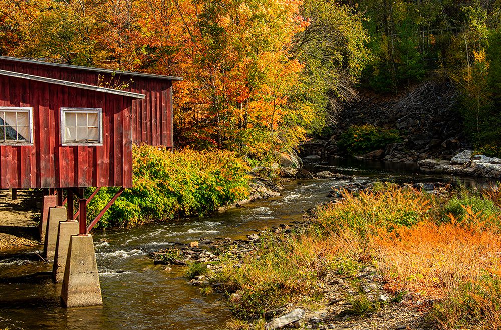 USA-Vermont-Stowe-red mill on Little River as it flows south of Stowe to Winooski River-fall foliage art print by Allison Jones for $57.95 CAD