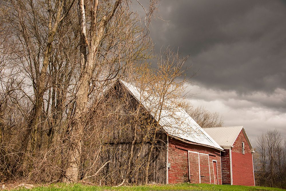 USA-Vermont-Champlain Valley-Weybridge-barn art print by Allison Jones for $57.95 CAD
