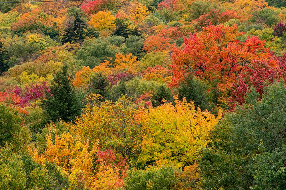USA-Vermont-New England-Stowe Mt Mansfield parking lot view art print by Allison Jones for $57.95 CAD