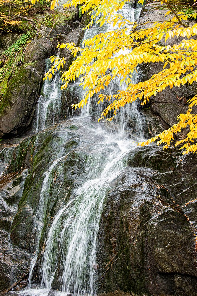 USA-Vermont-Fall foliage in Mad River Valley along trail to Warren Falls art print by Allison Jones for $57.95 CAD