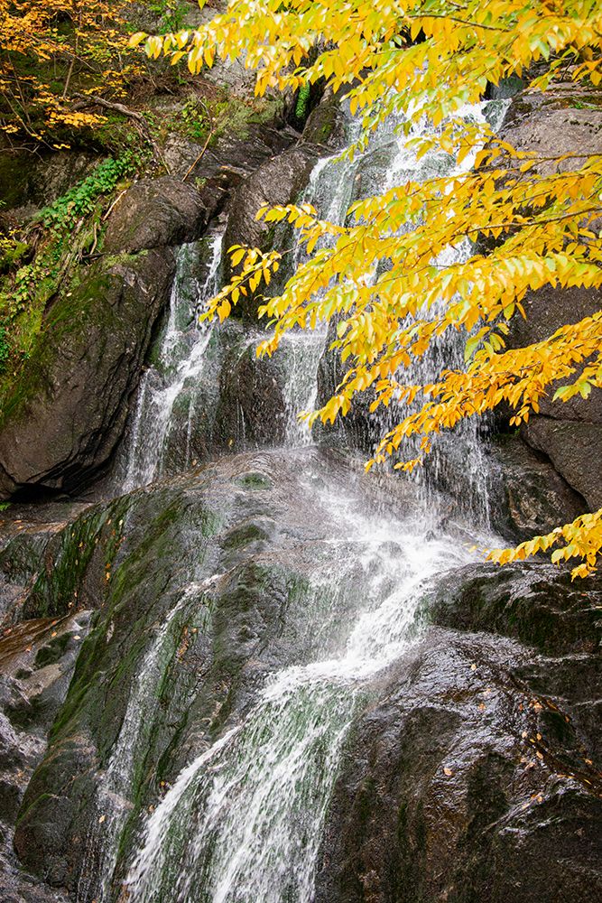USA-Vermont-Fall foliage in Mad River Valley along trail to Warren Falls art print by Allison Jones for $57.95 CAD