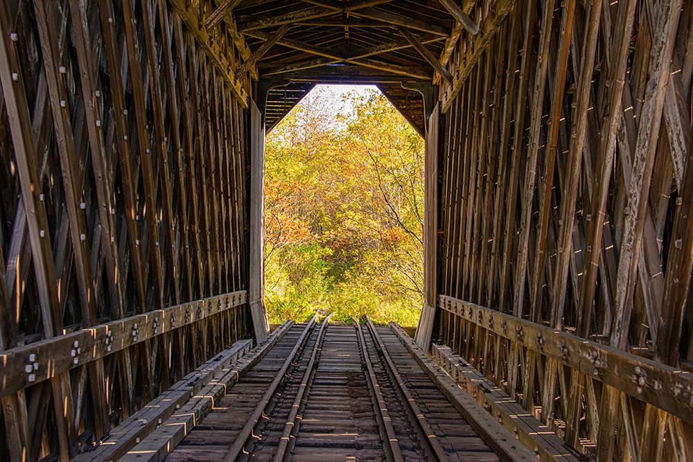 USA-Vermont-Fall foliage seen off Rt 15-Wolcott-Fisher Covered Railroad Bridge (1908) art print by Allison Jones for $57.95 CAD