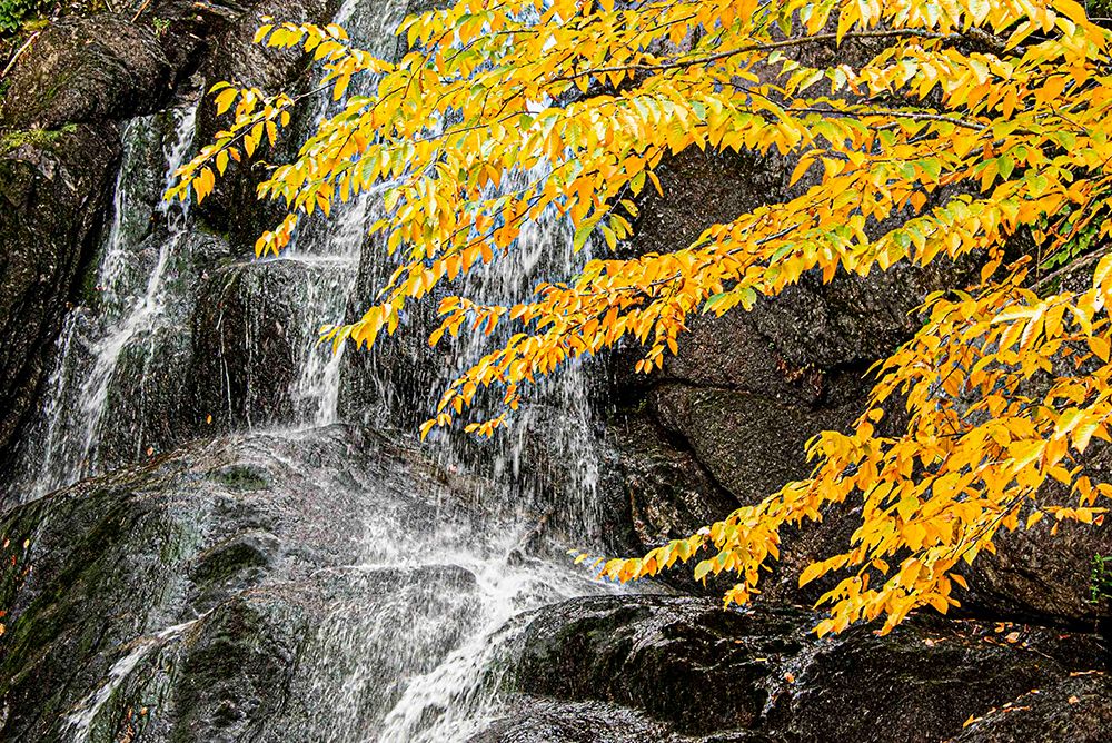 USA, Vermont, Granville. Moss Glen Falls on Route 100. art print by Alison Jones for $57.95 CAD