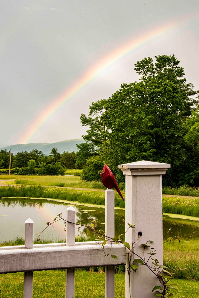 USA, Vermont, Addison County. Pond with rainbow, white gate and carved cardinal, Green Mountains. art print by Alison Jones for $57.95 CAD