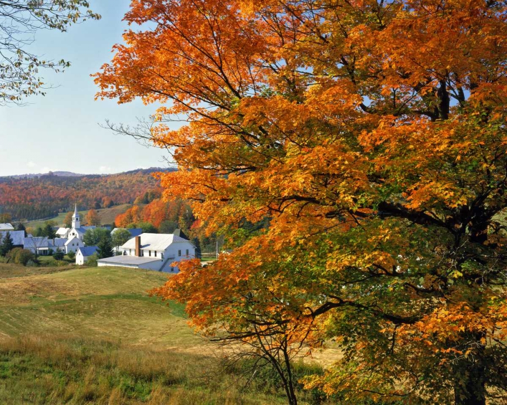 Vermont, East Corinth Fall colors framing a town art print by Steve Terrill for $57.95 CAD