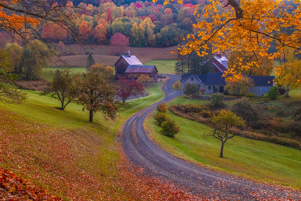 USA-Vermont-Woodstock Winding road to Sleepy Hollow Farm in autumn art print by Jaynes Gallery for $57.95 CAD