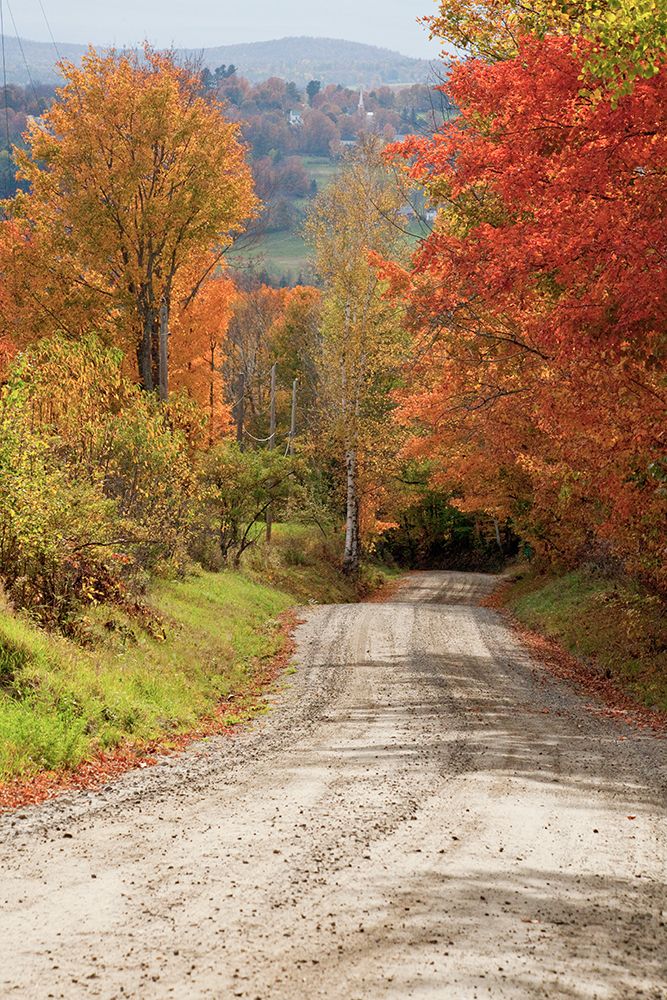 USA-New England-Vermont tree-lined roadway in Autumns Fall colors art print by Sylvia Gulin for $57.95 CAD