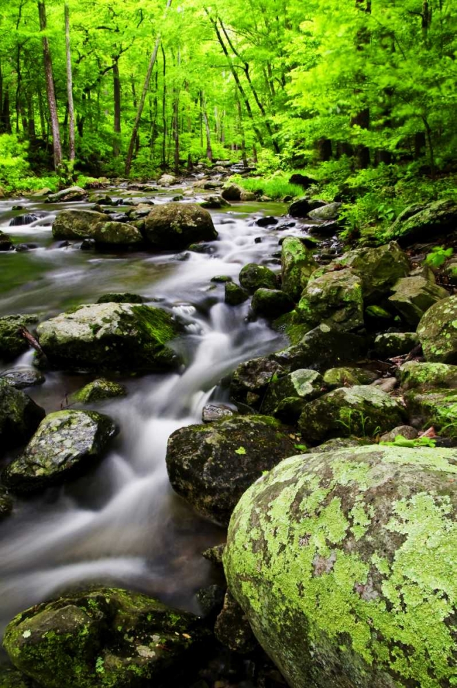 Virginia, Shenandoah NP Creek in the forest art print by Jay OBrien for $57.95 CAD