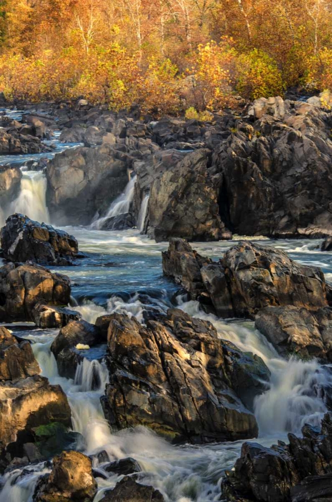Virginia, Great Falls Rapids on Potomac River art print by Jay OBrien for $57.95 CAD