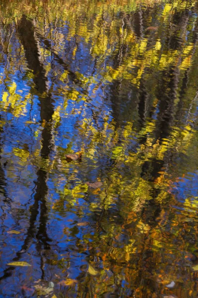 Virginia, McLean Scenic in Great Falls SP art print by Jay OBrien for $57.95 CAD