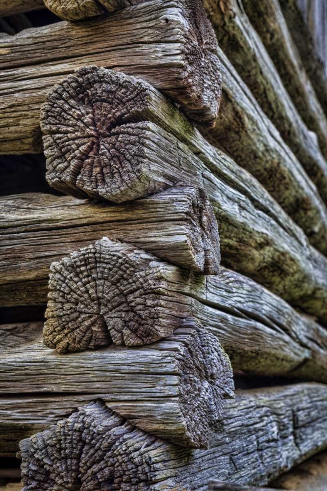 VA, Roanoke, Explore Park Detail of log cabin art print by Don Paulson for $57.95 CAD