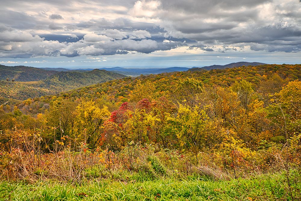 USA-Virginia-Shenandoah National Park-fall color art print by Hollice Looney for $57.95 CAD