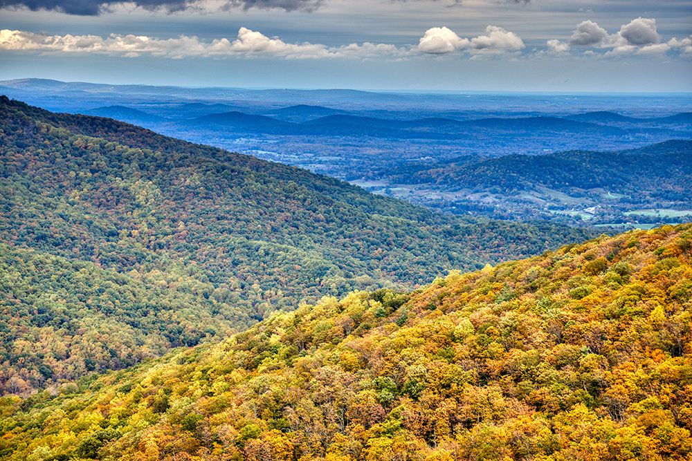 USA-Virginia-Shenandoah National Park-fall color art print by Hollice Looney for $57.95 CAD