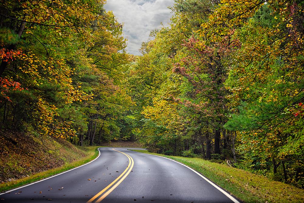 USA-Virginia-Shenandoah National Park-fall color along Skyline Drive art print by Hollice Looney for $57.95 CAD