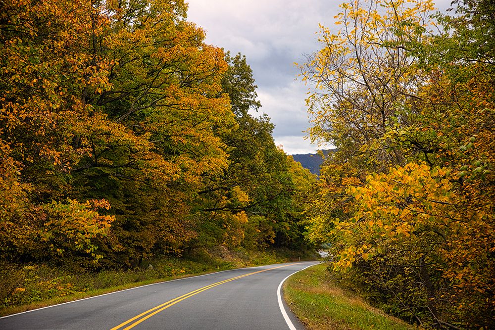 USA-Virginia-Shenandoah National Park-fall color along Skyline Drive art print by Hollice Looney for $57.95 CAD
