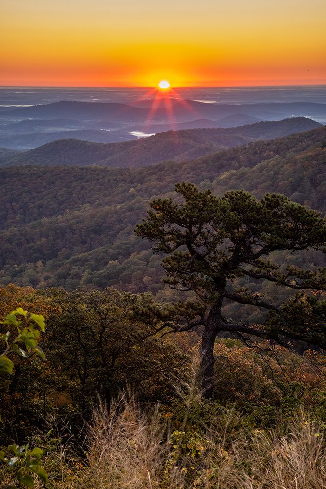 USA-Virginia-Shenandoah National Park-Sunrise along Skyline Drive in the Fall art print by Hollice Looney for $57.95 CAD
