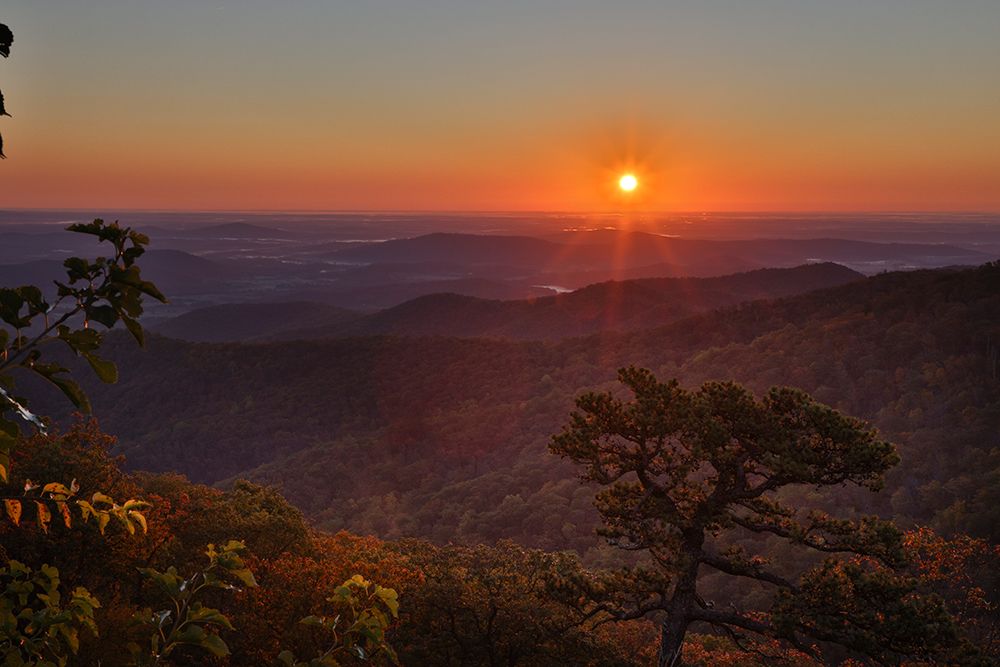 USA-Virginia-Shenandoah National Park-Sunrise along Skyline Drive in the Fall art print by Hollice Looney for $57.95 CAD