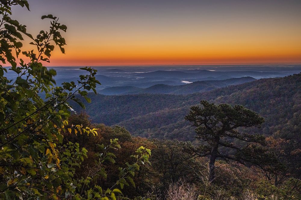 USA-Virginia-Shenandoah National Park-Sunrise along Skyline Drive in the Fall art print by Hollice Looney for $57.95 CAD