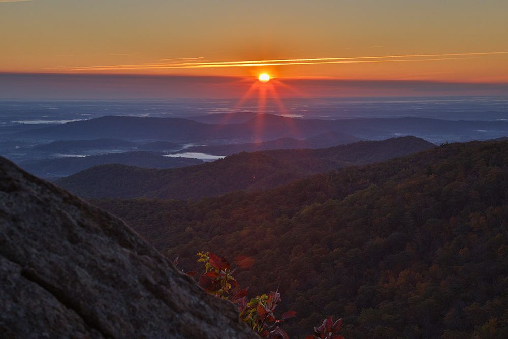 USA-Virginia-Shenandoah National Park-Sunrise along Skyline Drive in the Fall art print by Hollice Looney for $57.95 CAD