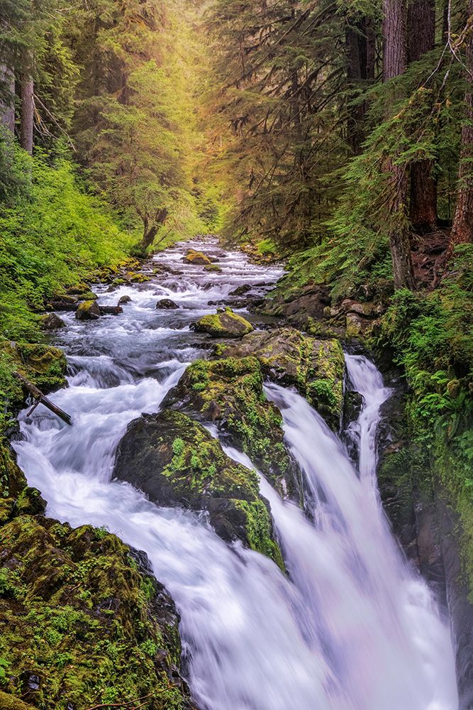 Sol Duc River and Falls-Olympic National Park-Washington State art print by Adam Jones for $57.95 CAD