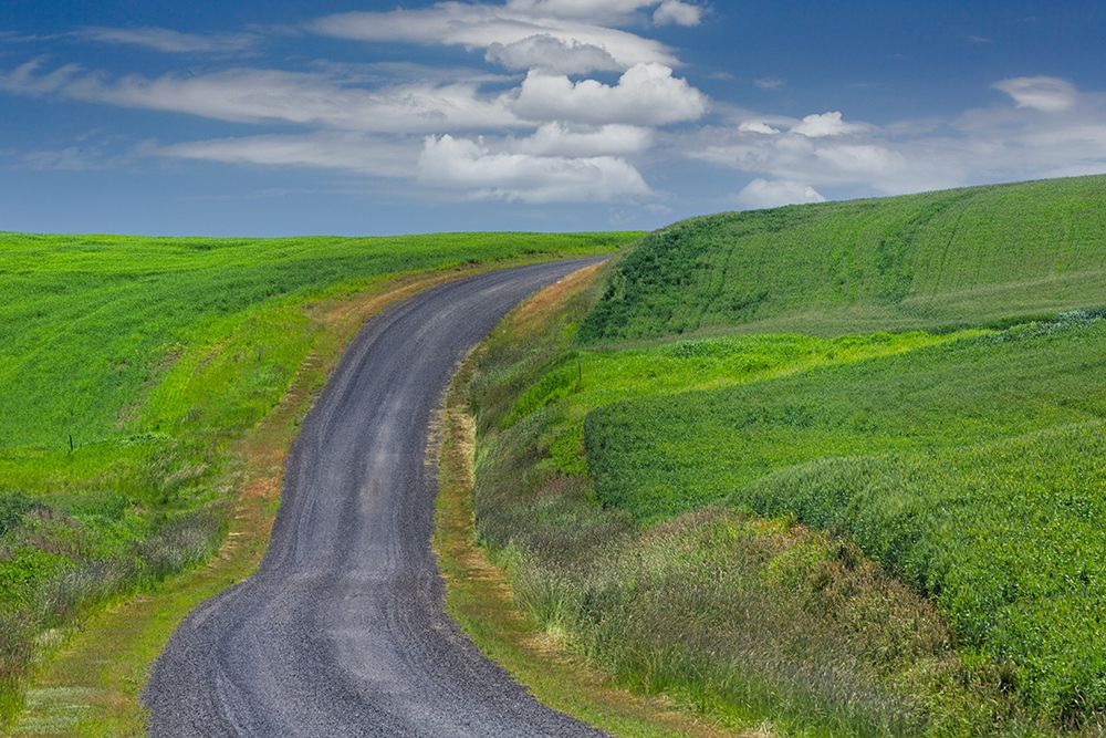 Rural road through rolling wheat fields-Palouse region of eastern Washington State art print by Adam Jones for $57.95 CAD