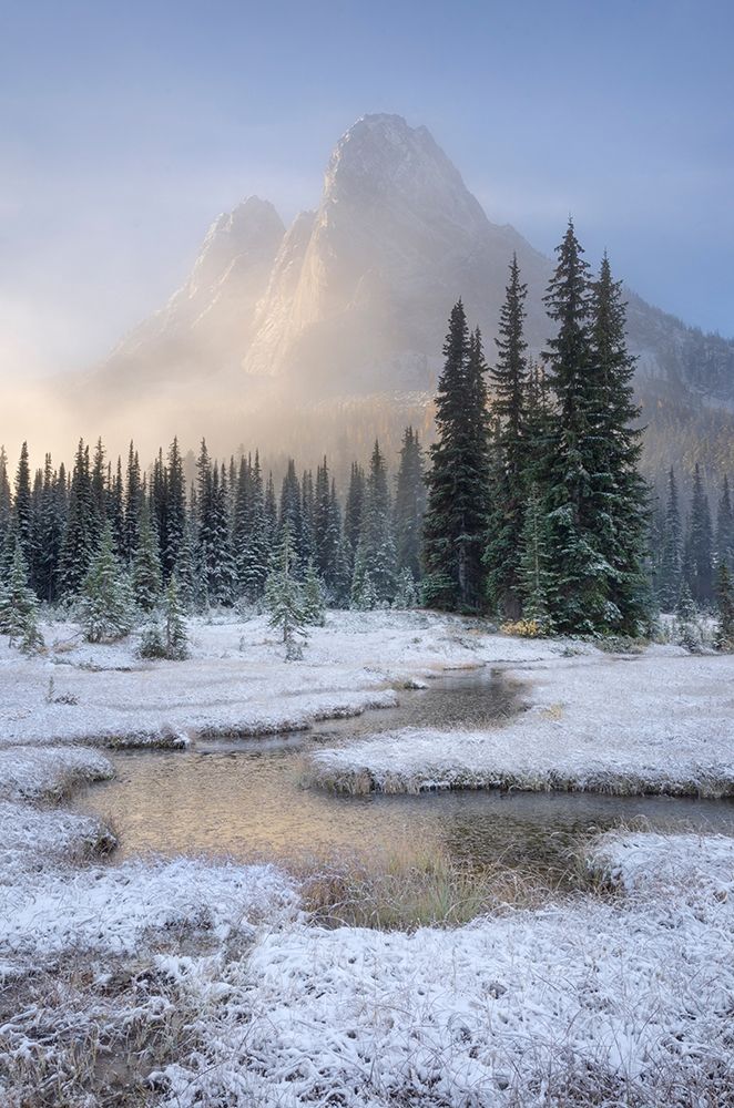 Fresh autumn snow on Liberty Bell Mountain and meadows of Washington State Pass art print by Alan Majchrowicz for $57.95 CAD