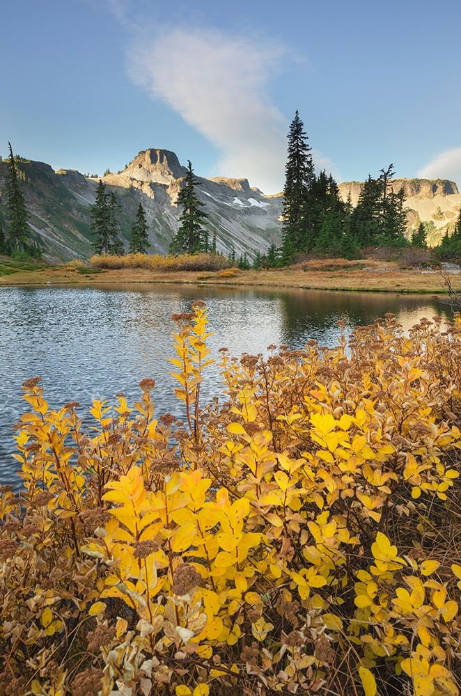Heather Meadows in autumn Table Mountain is in the distance art print by Alan Majchrowicz for $57.95 CAD