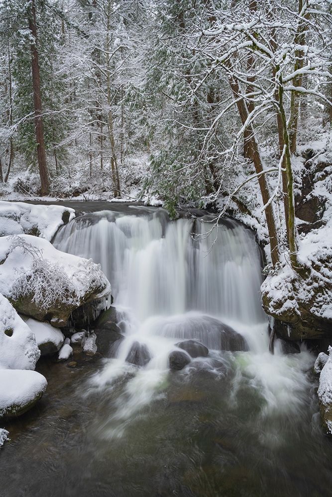Whatcom Falls after fresh dusting of winter snow Whatcom Falls City Park-Bellingham art print by Alan Majchrowicz for $57.95 CAD