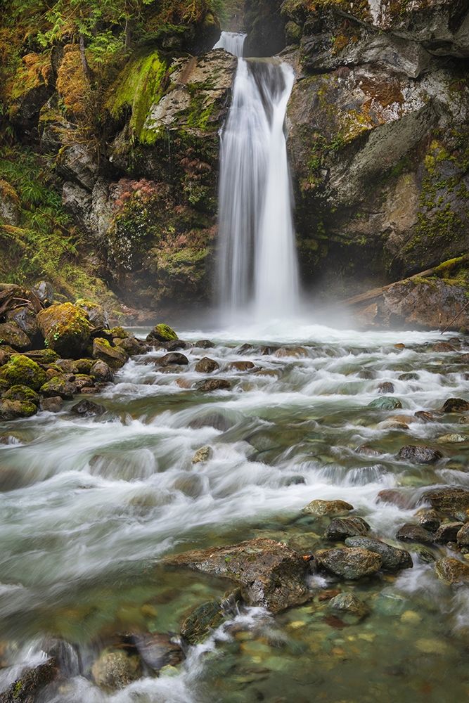 Lazy Bear Falls-Mount Baker-Snoqualmie National Forest-North Cascades-Washington State art print by Alan Majchrowicz for $57.95 CAD