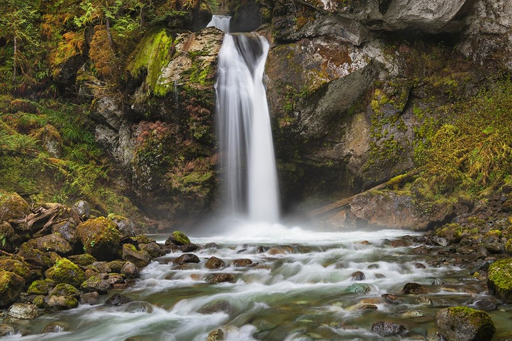Lazy Bear Falls-Mount Baker-Snoqualmie National Forest-North Cascades-Washington State art print by Alan Majchrowicz for $57.95 CAD