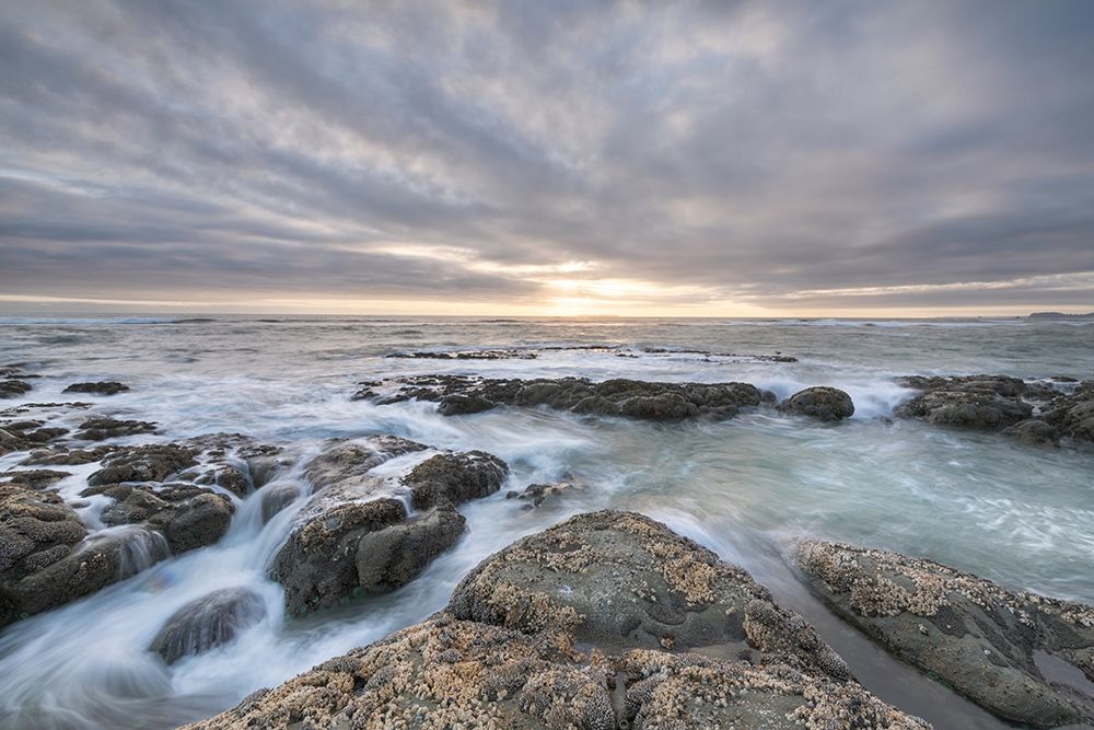 Kalaloch Beach 4 at sunset-Olympic National Park-Washington State art print by Alan Majchrowicz for $57.95 CAD