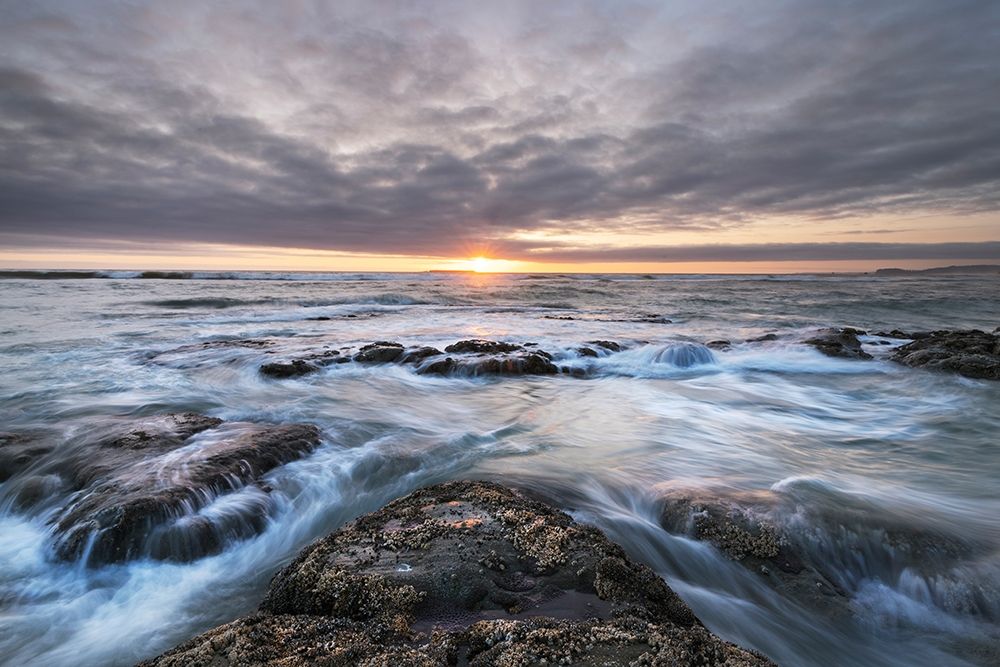 Kalaloch Beach 4 at sunset-Olympic National Park-Washington State art print by Alan Majchrowicz for $57.95 CAD