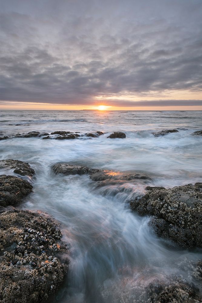 Kalaloch Beach 4 at sunset-Olympic National Park-Washington State art print by Alan Majchrowicz for $57.95 CAD