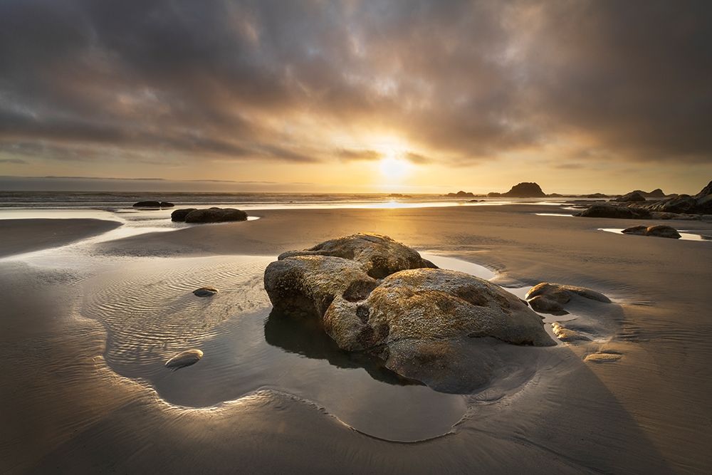 Kalaloch Beach sunset-Olympic National Park-Washington State art print by Alan Majchrowicz for $57.95 CAD