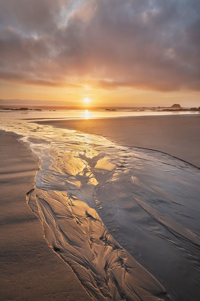 Stream flowing into the Pacific Ocean at sunset-Kalaloch Beach Olympic National Park art print by Alan Majchrowicz for $57.95 CAD