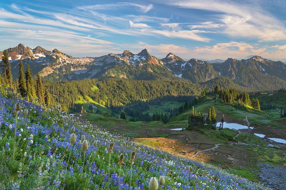 Tatoosh Range-Mount Rainier NP-Washington State art print by Alan Majchrowicz for $57.95 CAD