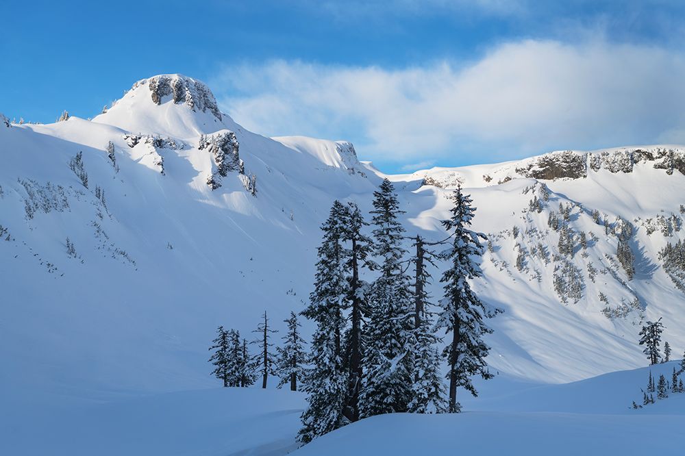 Table Mountain in winter Mt Baker-Snoqualmie National Forest-North Cascades-Washington State art print by Alan Majchrowicz for $57.95 CAD