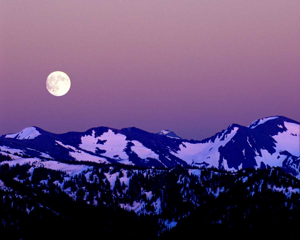 WA, Olympic NP Moonrise from Hurricane Ridge art print by David Kelley for $57.95 CAD