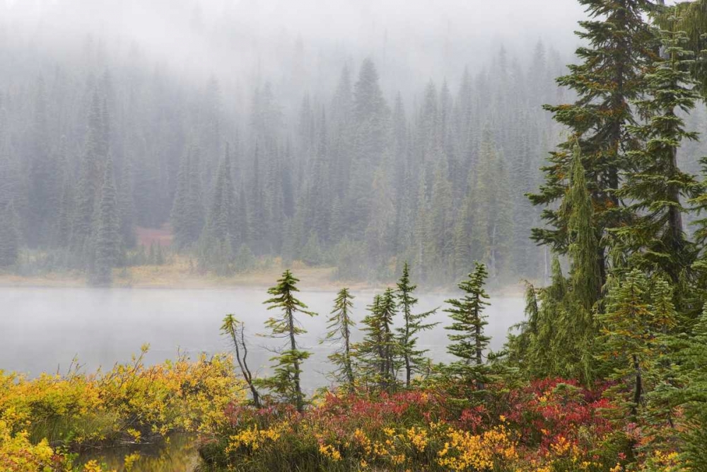 WA, Mount Rainier NP Trees and lake in mist art print by Don Paulson for $57.95 CAD