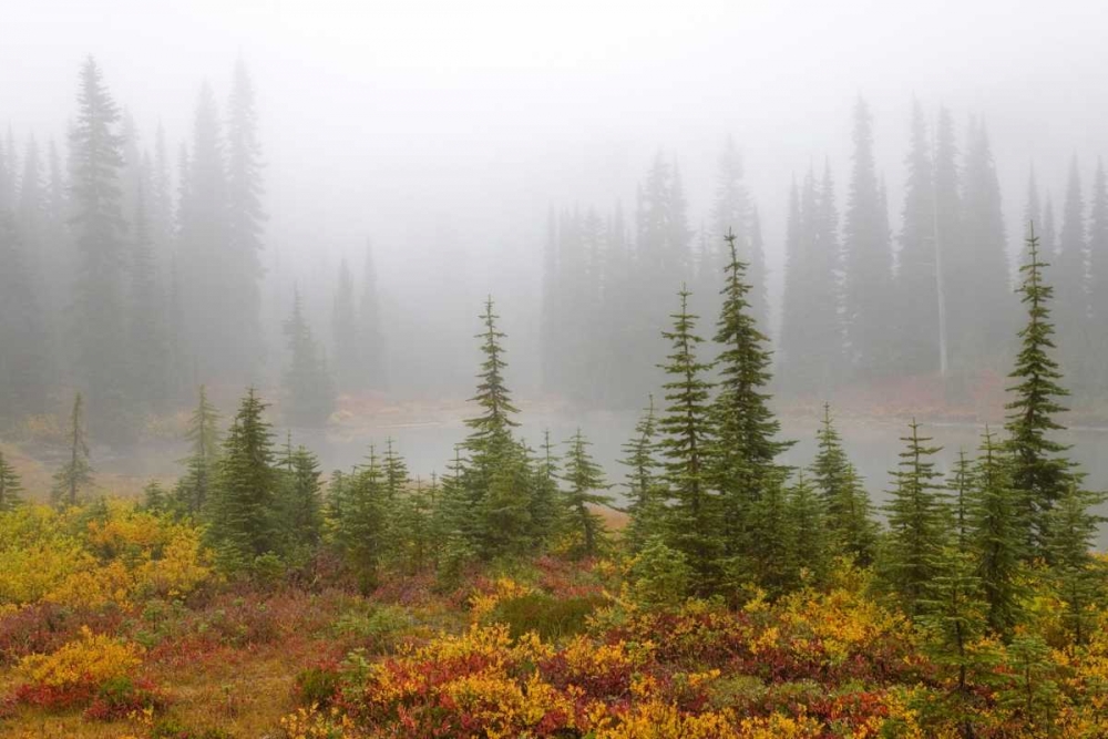 WA, Mount Rainier NP Trees and lake in mist art print by Don Paulson for $57.95 CAD