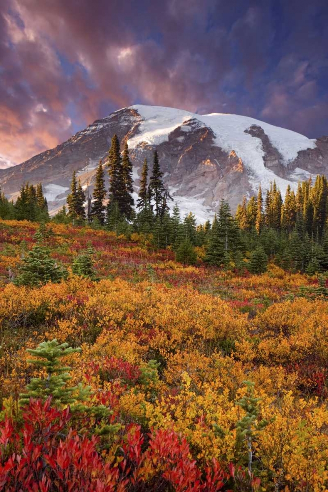 Washington Sunset over Mount Rainier and valley art print by Don Paulson for $57.95 CAD