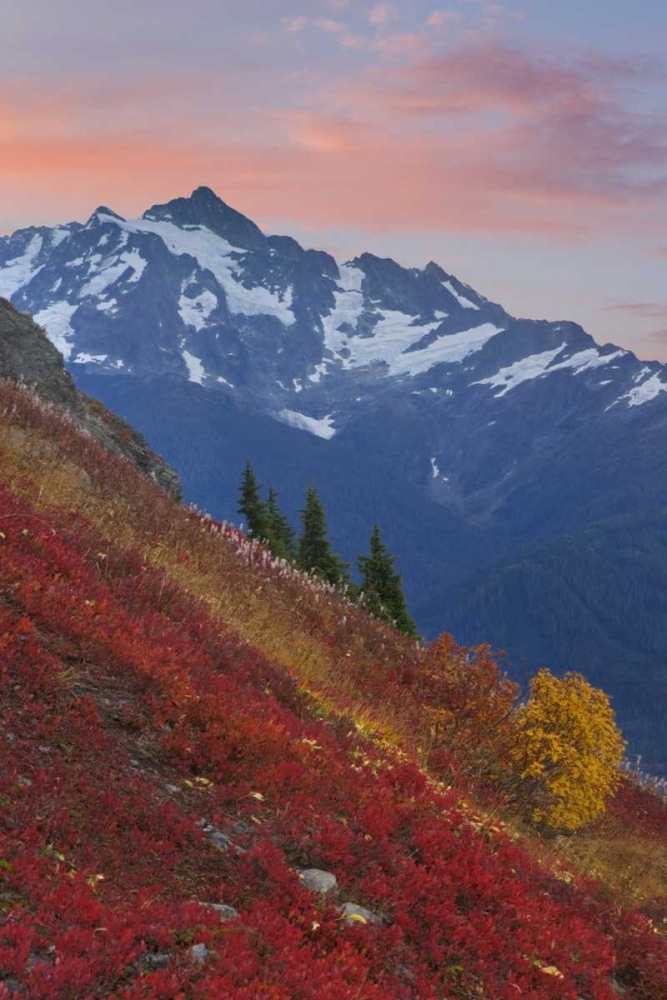 WA, Mount Baker Wilderness View of Mount Shuksan art print by Don Paulson for $57.95 CAD