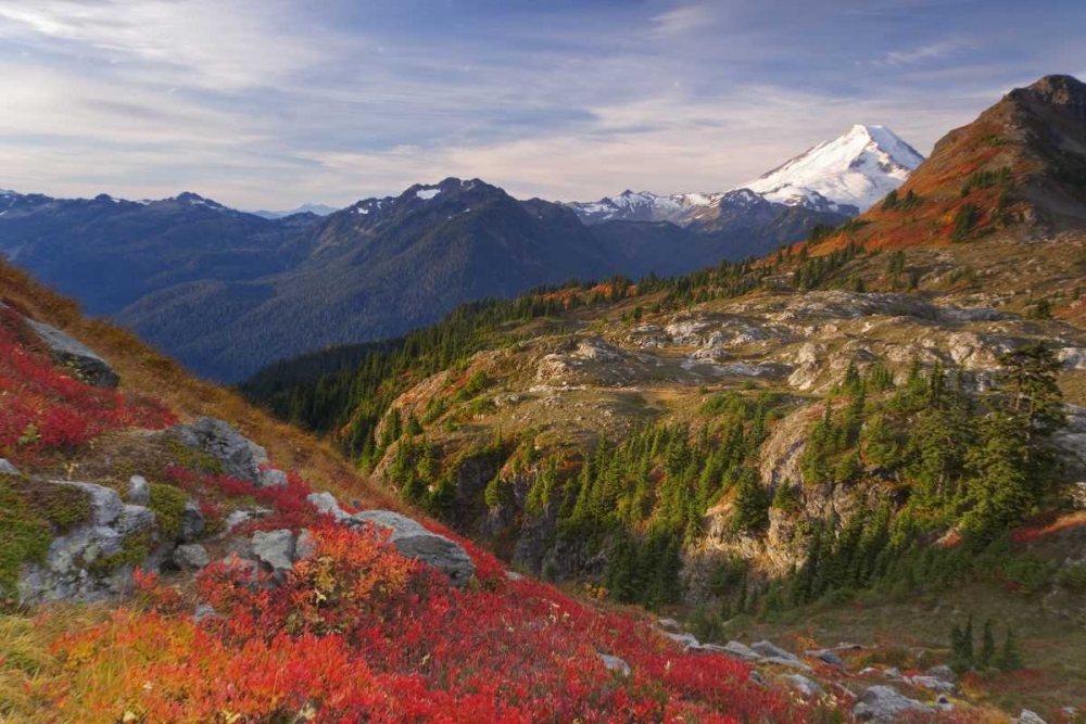 WA, Mount Baker Wilderness View of Mount Shuksan art print by Don Paulson for $57.95 CAD