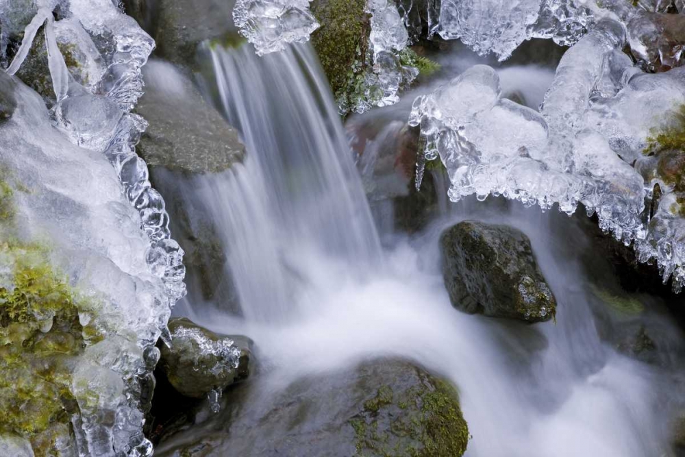 Washington, Olympic NP Icy winter waterfall art print by Don Paulson for $57.95 CAD