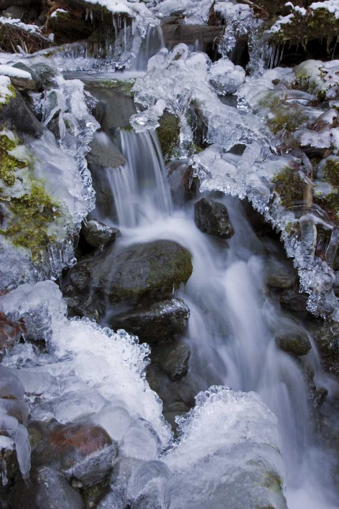Washington, Olympic NP Icy winter waterfall art print by Don Paulson for $57.95 CAD