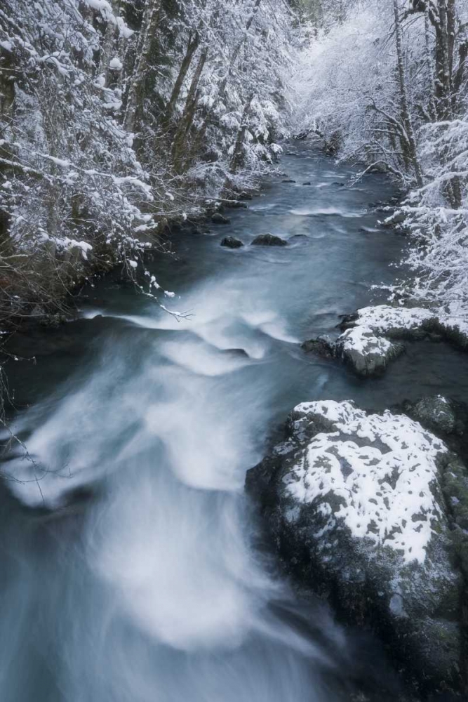 USA, WA, Olympic NP Hamma Hamma River in winter art print by Don Paulson for $57.95 CAD